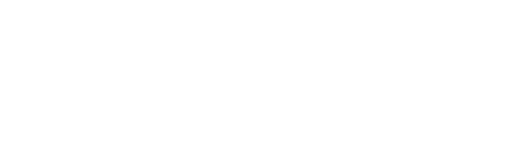 PT_FinanciadoUniaoEuropeia_White